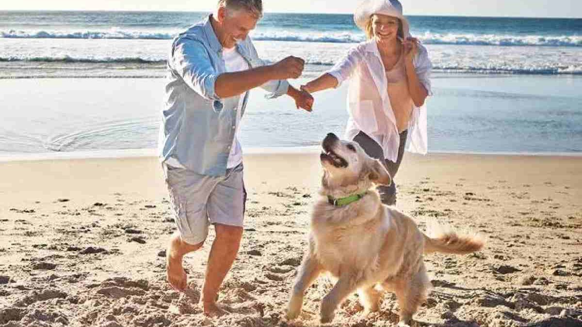 Top Reasons to Choose Pet Friendly Beach Rentals in NC for Your Getaway